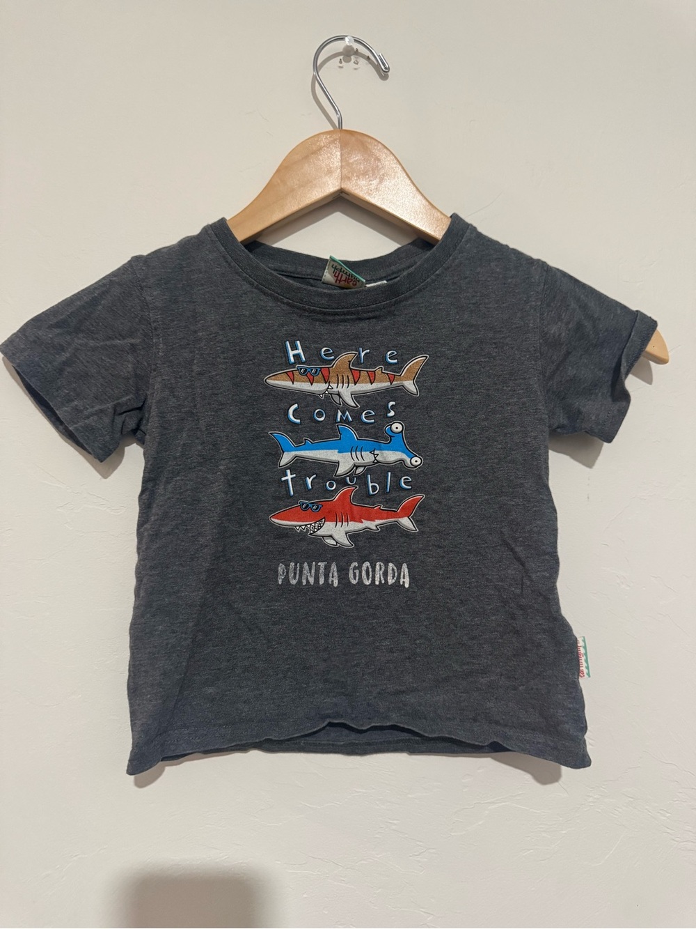 Earth Nymph Boys Shark Tee Size 2 Here Comes Trouble Punta Gorda Gray Beach